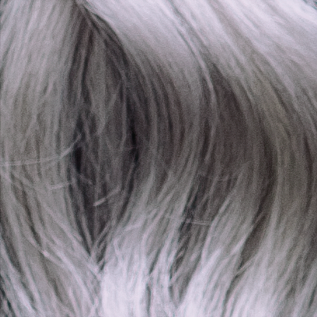 Danger Jones Cyclone - Silver Hair Color - Long-Lasting Dye - Haircare, Hair Dye