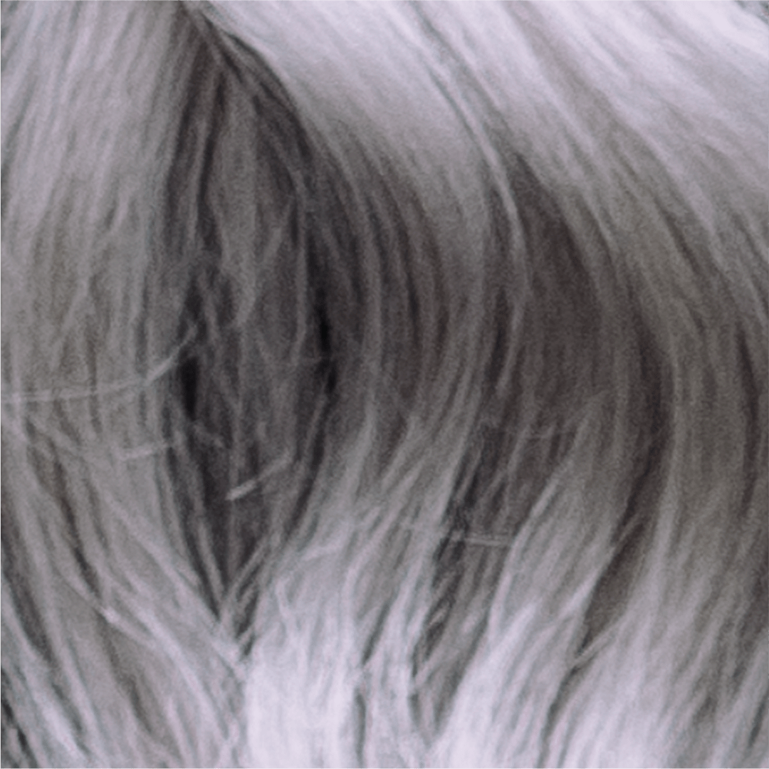 Danger Jones Cyclone - Silver Hair Color - Long-Lasting Dye - Haircare, Hair Dye