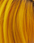 Danger Jones Starrider - Yellow Hair Color - Long-Lasting Dye - Haircare, Hair Dye